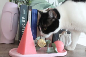 PhemeHomeShop